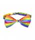 PRIDE PAJARITA BANDERA LGBT
