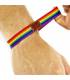 PRIDE PULSERA CHICO GOMA LUJO ORGULLO