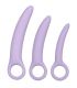 CALEXOTICS DR LAURA BERMAN ALENA SET DE 3 DILATADOR VAGINAL SILICONA