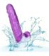CALEXOTICS SIZE QUEEN DILDO LILA 153 CM