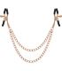 COQUETTE CHIC DESIRE FANTASY PINZAS METALICAS PEZONES CON CADENA