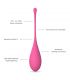 LESLIE KEGEL FIT ENTREGADOR SUELO PELVICO 6 PESOS