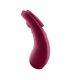 SATISFYER SEXY SECRET PANTY