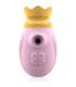 INTENSE ESTIMULADOR CLITORIS 10 MODOS DE SUCCIaN Y LICKING ROSA