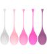 OHMAMA SET 5 BOLAS EJERCICIO KEGEL