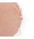 SECRETPLAY GOLDEN LIGHT KIT POLVOS COMESTIBLES Y PLUMA FRESAS CAVA