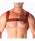 MACHO ARNES DOBLE ROJO