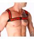 MACHO ARNES DOBLE ROJO