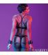 CALEXOTICS EUPHORIA ESPOSAS