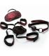 CALEXOTICS SCANDAL KIT SUJECIaN DE CAMA