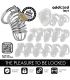 ADDICTED TOYS LOCKED IRON CELL JAULA PARA PENE DE METAL 4 CM TALLA S