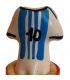 CONDOMERIE PRESERVATIVO DECORATIVO PINTADO A MANO CAMISETA MESSI N10