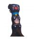 CONDOMERIE PRESERVATIVO DECORATIVO PINTADO A MANO PERRO SALCHICHA MARRaN XL