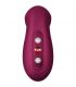 FUN FACTORY DESIRE VIBRADOR AIR PULSE BURDEOS