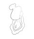 ROMP KISS SUCCIONADOR DE CLaTORIS VIBRADOR DE DEDO RECARGABLE